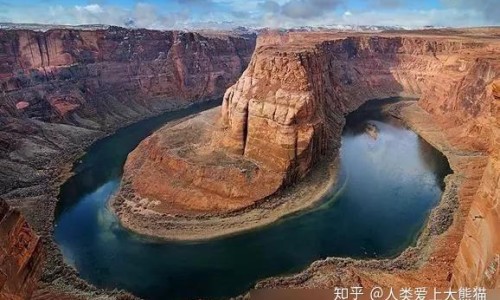 款冬花主治什么症状-款冬花功效作用及禁忌-专业款冬花的功效与作用禁忌平台-款冬花的作用与功能主治